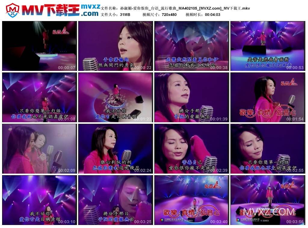 孙淑媚-爱你恨你_台语_流行歌曲_MA402105